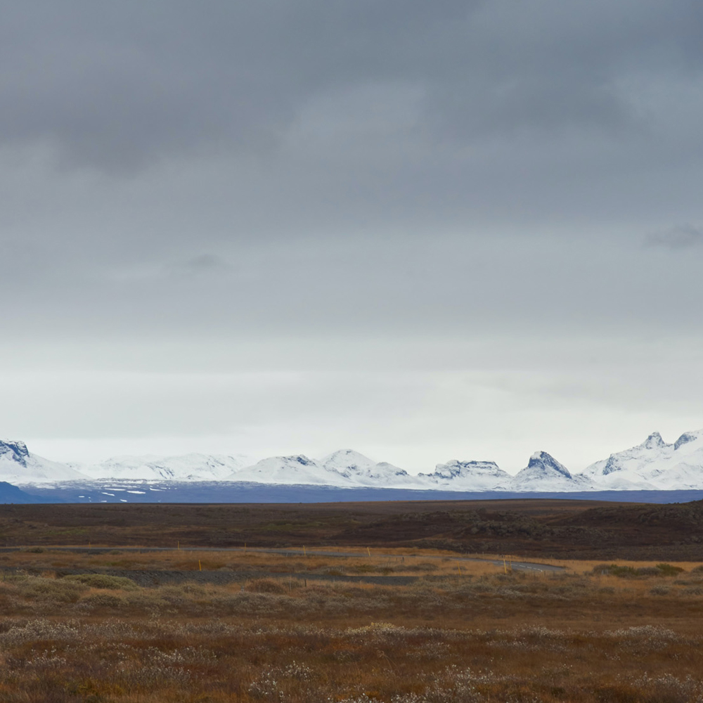 Tundra Fonder